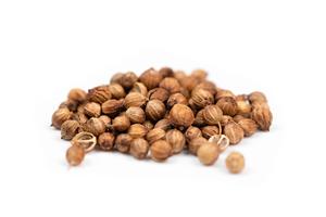 Semi di Coriandolo Naturali Essiccati Interi, Spezie <span class=keywords><strong>Aromatiche</strong></span>, <span class=keywords><strong>Erbe</strong></span> Culinarie, Condimento per Lavorazione Alimentare dal Gujarat, India, di Meadowfarm - Product Image 3