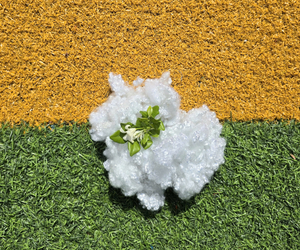 Fibra de Poliéster Hueca Conjugada Sin Silicona HCS 15Dx64mm Grado AA, Material de Relleno Antiestático Ignífugo, Vietnam - Product Image 3