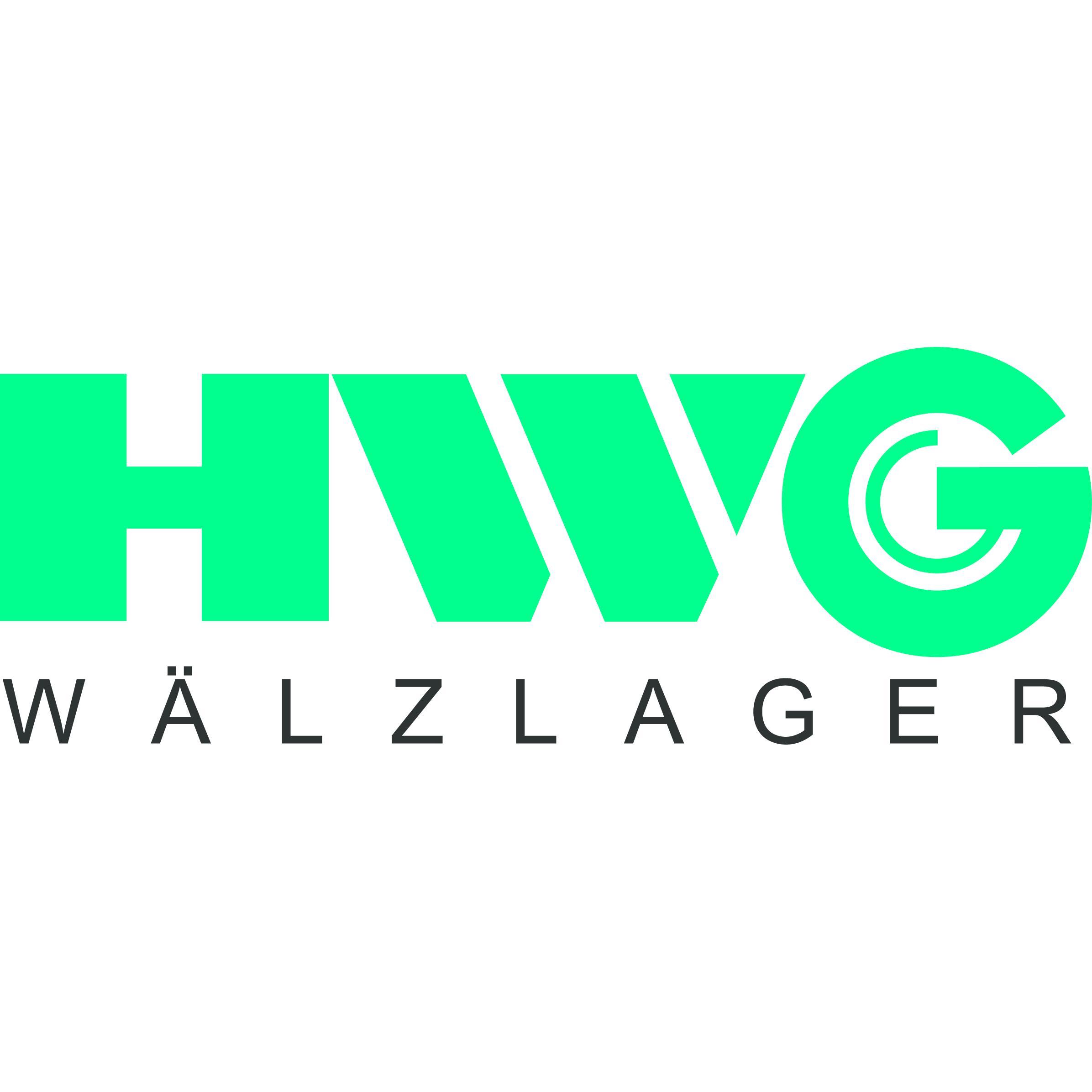 HWG Horst Weidner GmbH logo