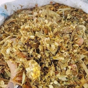 Ensilaje de Maíz de Alta Calidad para Alimentación de Vacas Lecheras, Ensilaje de Maíz Amarillo para Granjas de Ganado Vacuno y Compradores de Alimento para Animales a Granel - Product Image 5