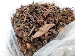 Hojas Secas Naturales de Mesona Chinensis para el Mercado de Superalimentos, Hierba de Gelatina Deshidratada Premium de Vietnam - Product Image 3