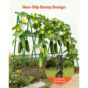 Lot de 50 piquets de jardin en métal recouvert de plastique de 57,28 pouces pour le soutien des plantes avec extrémité pointue et filet de jardinage - Product Image 5