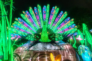 Праздничные светодиодные уличные фонари с рождественским мотивом для декоративного оформления Дивали и Нового года - Product Image 5