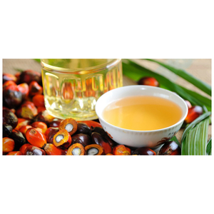 Huile de palme brute (CPO) de haute qualité à prix abordable, pureté 100%, pour la cuisson, du Brésil, qualité supérieure, huile de palme rouge végétale - Product Image 6