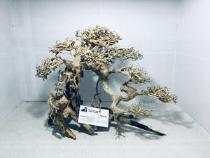 New Item Driftwood Reptile Branch Driftwood for Aquarium Landscape Wood Fish <b>Tank</b> Decoration From Vietnam For Wholesalers - Product Image 4