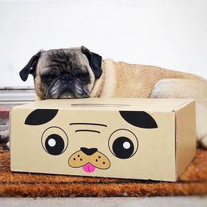 Boîtes personnalisées imprimées pour barres énergétiques Elite, noix de coco crue, Wily Body USA, emballage pour animaux de compagnie, papier couché de qualité supérieure, designs uniques, luxe - Product Image 5