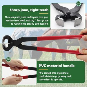 Cortauñas Profesional de 15 Pulgadas con Mango de Goma, Herramienta para el Cuidado de Pezuñas Equinas, para la Salud de Caballos, Ovejas y Cabras - Product Image 3