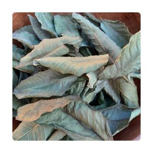 BEST SELLER Feuilles de thé de goyave pour mélange de sachets de thé et service de boissons de bienvenue pour hôtels et spas, en carton de transport - Product Image 2