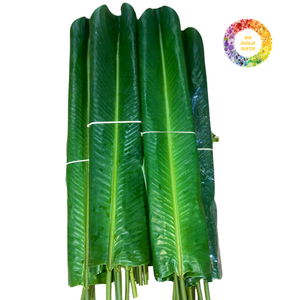 Pastel de Hoja de Dong Orgánico Envasado al Vacío, Congelado IQF, Grado Superior, Empaque OEM a Granel con Conservación de Agua - Product Image 2