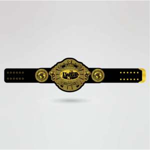 Ceinture de championnat de lutte personnalisée avec logo sur quatre côtés, en laiton et en zinc, avec plaque centrale dorée, sangle noire, entièrement personnalisable - Product Image 2
