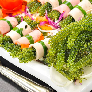 Caviar Verde Fresco a Precio Competitivo y Proveedor de Uvas de Mar al por Mayor - Product Image 1