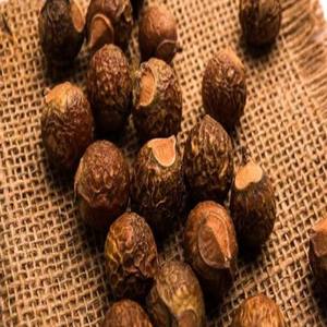 Polvo Herbal Natural de Aritha y Reetha, Grado Alimenticio, Textura Fina, Extracto de Planta Silvestre de Gujarat, Extraído con Solvente, para Alimentos Saludables - Product Image 2