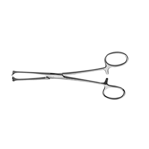 คีมจับเนื้อเยื่อ Allison คุณภาพสูง ผลิตจากเหล็กกล้าไร้สนิม สำหรับการจัดการเนื้อเยื่ออ่อนและการเย็บอย่างแม่นยำ - Product Image 4