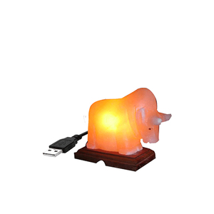 โคมไฟเกลือหิมาลัยแบบ USB รุ่นใหม่ ขายดีที่สุด โคมไฟตั้งโต๊ะคริสตัลแบบใช้พลังงาน USB พร้อมบริการผู้ผลิต OEM ขนาดตามสั่งและบริการติดฉลากส่วนตัว - Product Image 2