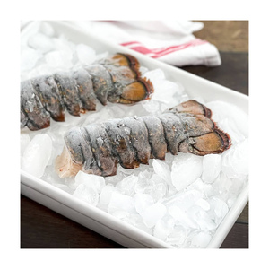 Queues de homard surgelées de haute qualité, préparées pour la distribution en gros. - Product Image 1