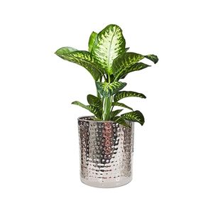 Pot de fleurs en acier inoxydable de haute qualité pour la décoration de la maison, résistant à la rouille, pour plantes d'intérieur et d'extérieur, pour la chambre, le bureau, la table, finition argentée - Product Image 1