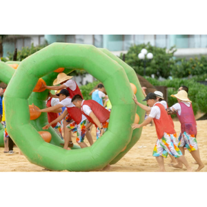 THUY LINH Rouleau flottant gonflable commercial en PVC pour la marche sur l'eau, parcours d'obstacles flottant pour piscine, lac, plage, loisirs - Product Image 3