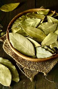 Hojas de Guanábana Vietnamita Secas al Sol de Primera Calidad, Cuidadosamente Seleccionadas, Naturales, Aromáticas, Puras, Producto Botánico Tropical de Calidad de Exportación - Product Image 5