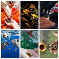 Ligne de production d'aliments pour poissons CE grande capacité 2 tonnes PLC, extrudeuse bivis pour aliments nutritionnels de haute qualité et palatabilité, machine de fabrication d'aliments pour poissons