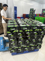 Citrons sans pépins de qualité exportés du Vietnam à haute teneur en jus mûri au soleil, peau propre et lisse emballée pour une distribution mondiale