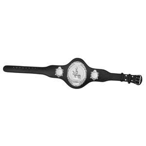 เข็มขัดแชมป์เปล่าแบบปรับแต่งได้ คุณภาพสูง เข็มขัดแชมป์มวยปล้ำ รุ่นสะสม เข็มขัดกีฬา - Product Image 6