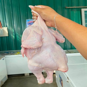 Coupes de poulet surgelées de qualité supérieure, qualité constante, emballées sous vide pour des repas délicieux, destinées aux services de restauration et aux magasins de détail - Product Image 3