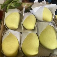 Vietnam Groothandel Darlac Farms IQF Diepvries Mango Gesneden Bulk Vacuüm Verpakt Private Label OEM Fruitleverancier HACCP/ISO