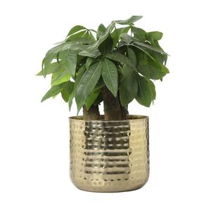 Macetero de Metal para Jardín, Soporte Redondo de Acero Inoxidable para Plantas de Interior, Caja Decorativa para Plantas, Venta al por Mayor - Product Image 1