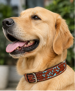 Western Cowboy <b>Leather</b> <b>Dog</b> <b>Collar</b> Premium Bulk Export Supplier from Divine International India - Product Image 1