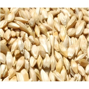 Cereali Biologici AD Barley Breakfast Product: Fiocchi e Mix Energetici per l'Esportazione a Prezzo Economico - Product Image 4