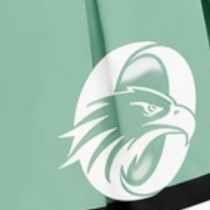 Mint <b>Green</b> Sublimated Cheer Panel <b>Skirt</b> <b>Pleated</b> Athletic Team Sports Uniform Bottoms Performance Training Wear Competition - Product Image 6