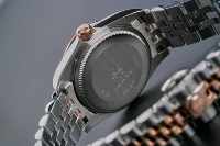 Montre Ronde Alexander Ferros 8201D/01 avec Verre Saphir, Bouton Poussoir, Fermoir Caché, Résistance à l'Eau 50 m, Acier Inoxydable Tendance