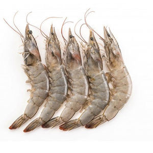 Camarones congelados frescos y naturales para comercio internacional, envasado a granel y suministro de alimentos comerciales - Product Image 2