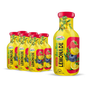 Fabricant de boissons fonctionnelles en marque privée, jus de limonade à l'algue marine, 355 ml, boissons gazeuses en bouteille, usine au Vietnam, service OEM/ODM - Product Image 3