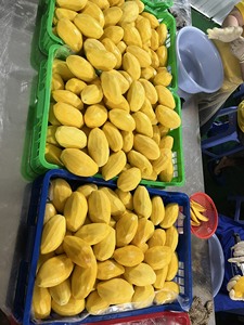 สินค้าขายดี |   มะม่วงแช่แข็ง IQF แบบทั้งลูกในน้ำเชื่อม บรรจุภัณฑ์ขนาดใหญ่สำหรับการแปรรูปเครื่องดื่ม ไอศกรีม เบเกอรี่ ขายส่ง - Product Image 6