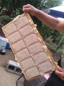 รวงผึ้งออร์แกนิคแท้จากเวียดนาม คุณภาพสูง หวานอร่อย ส่งตรงจากฟาร์มผึ้งของเรา - Product Image 2