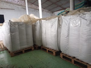 สาหร่าย ulva Lactuca แบบแห้ง/สาหร่ายผักกาดหอมทะเล/มิสลิมา - Product Image 6