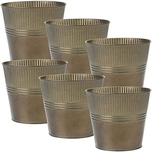 Macetas y jardineras de Metal galvanizado Cubos de Metal decorativos rústicos Estilo Vintage Boda de campo Hogar personalizable - Product Image 2
