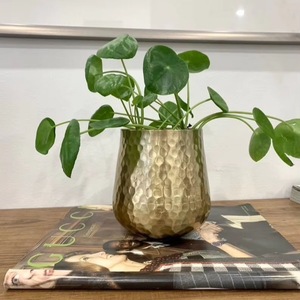 Pot de fleurs rond en métal doré martelé, durable et écologique, avec support pour plantes, pour la décoration intérieure - Product Image 1