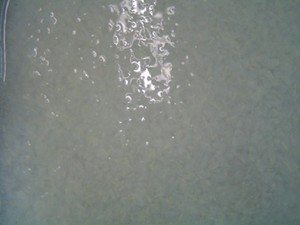 NOTRE OFFRE SPÉCIALE POUR LES DÉS D'ALOE VERA/GELÉE D'ALOE VERA AU GOÛT NATUREL ET QUALITÉ EXCEPTIONNELLE DU VIETNAM - Caryln - Product Image 5