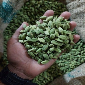 Hierbas de Cardamomo Verde Orgánico de Brasil, Certificado de Cosecha Fresca, Exportación a Granel, Grado Alimenticio, Santos, 24 Meses de Vida Útil - Product Image 1