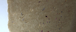 กระดาษใยไม้ล็อกตาพรีเมียม 100% 80 แกรม สีธรรมชาติ ลายกลีบดอกไม้และหญ้าสับละเอียด สำหรับกรอบรูป - Product Image 2