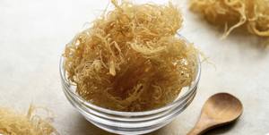 Golden Seamoss Eucheuma Cottonii natural 100% de Vietnam Mary - Product Image 2