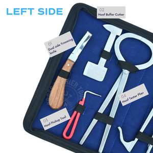 Kit d'outils de fermeur équin avec couteau à sabots courbé, boucle pour abcess, pince à sabots pour poulain, coupe-sabots, testeur de douleur, râpe, polisseur et mallette de transport - Product Image 3