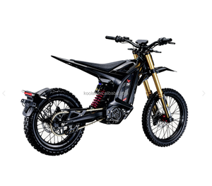 Nouvelle Moto Électrique Tout-Terrain Arctic Leopard XE PRO S L1E 2026 avec Homologation COC, 74V55Ah 74V 60AH, avec Fourches Noires/Dorées - Product Image 6