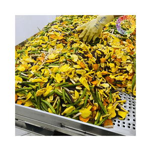 Fruits et légumes séchés de Vienam Fabricant bon marché Prix Livraison rapide Fruits secs mélangés - Product Image 4