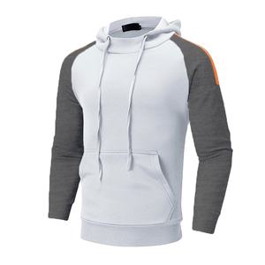 2021 sweat à capuche personnalisé en gros Streetwear hommes S sweats à capuche imprimer unisexe uni de haute qualité surdimensionné coton biologique silicone décontracté - Product Image 4