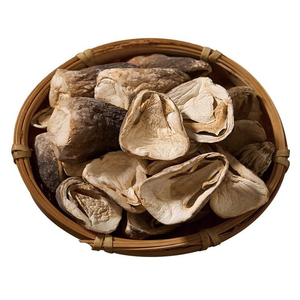 Snack aux champignons croustillants les plus vendus, snack à l'accompagnement de bière, chips de champignons prêtes à consommer, texture croustillante, couleur brune naturelle, alimentation en forme de snack - Product Image 5