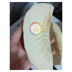 MEJOR PRECIO FRUTA DE PAN CONGELADA SIN OMG (SAKE) Entera y en Rodajas, a Granel, de Primera Calidad, Lista para Cocinar, Procesamiento de Alimentos, Proveedor Vietnamita - Product Image 6