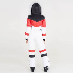 Ensemble de ski coupe-vent de haute qualité pour sports et course sur neige, taille standard, livraison rapide 3000M, prix abordable - Product Image 3